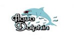 Aqua Dolphin